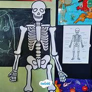 Image result for Life-Size Printable Skeleton