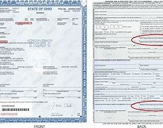 Image result for State of Title Certificate