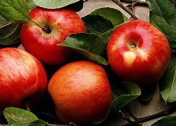 Image result for Best Apple Fruuit Wallpapers