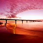 Image result for Pink Beach Theme Background
