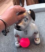 Image result for Aibo Robot Dog Blue Color