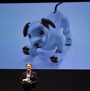 Image result for Aibo 1000