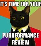 Image result for Business Cat Meme Deadline