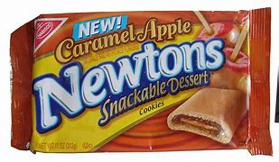 Image result for Newton Apple Product