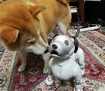 Image result for Aibo and Spot Dog
