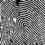 Image result for Fingerprint Animation
