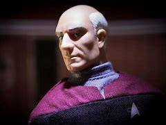Image result for Captain Picard Day Nieve Bust