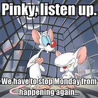 Image result for And the Brain Pinky Monday