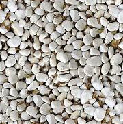 Image result for Shallow Water with White Pebbles