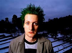 Image result for tre cool