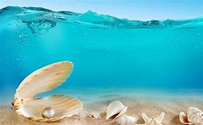 Image result for Under the Sea Wallpaper 1920X1080