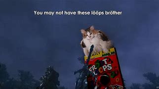 Image result for Loops Cat Meme