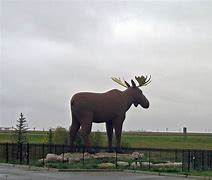 Image result for Moose Jaw Attractions