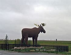 Image result for Corrpro Canada Moose Jaw