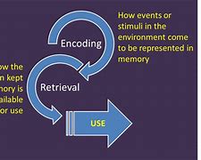 Image result for Memory Mechanisms