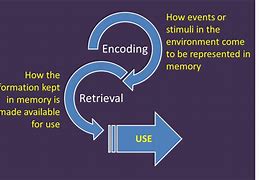 Image result for Memory Psychology
