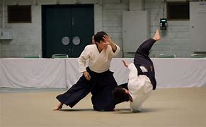 Image result for Aikido Demonstration