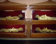 Image result for Mummy Museum Mexico