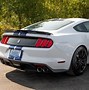 Image result for Mustang GT Shelby