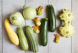 Image result for Types of Summer Squash
