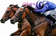 Image result for Ladies Drunk Day Horse Racing