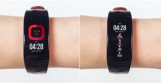 Image result for Pro Gear Fit 2 Small or Large