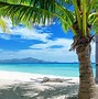 Image result for Beach Scenery