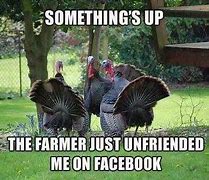 Image result for Turkeys with Guns Meme