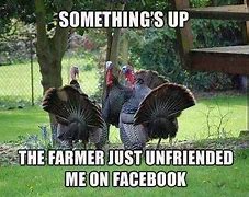 Image result for Bad Thanksgiving Memes