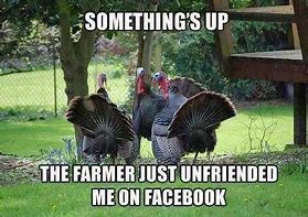 Image result for Stuffed Turkey Meme