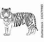 Image result for Cartoon Tiger to Draw