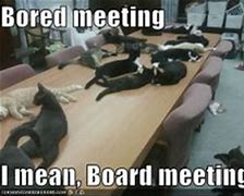 Image result for Cat Office Meeting Meme