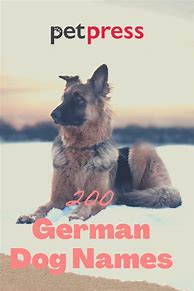 Image result for German Dog Names Male
