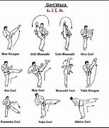 Image result for Advanced Karate Moves