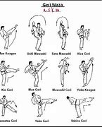 Image result for Types of Karate Kicks Aocc