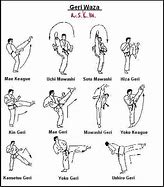 Image result for Types of Karate Names