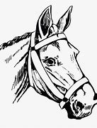 Image result for Quarter Horse Clip Art