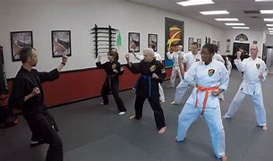 Image result for Ultimate Martial Artist