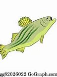 Image result for Real Fish Clip Art Bass