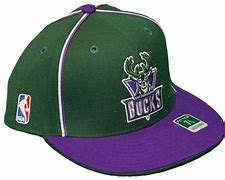 Image result for Milwaukee Bucks Flat Brim Hat