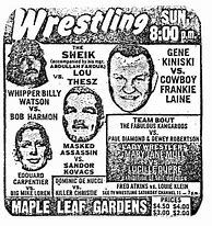 Image result for Vintage WWF Wrestling Posters