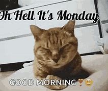 Image result for Happy Monday Memes Funny