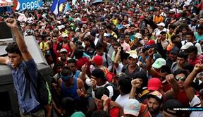 Image result for Migrant Mob