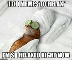 Image result for Relaxed Cat Meme