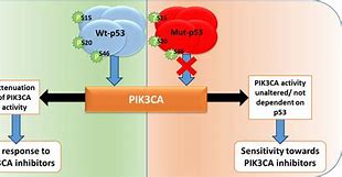 Image result for PIK3CA SPR