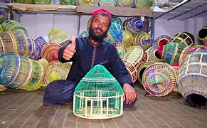 Image result for Bird Cage Craft Ideas