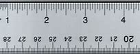 Image result for 12-Inch Ruler Actual Size