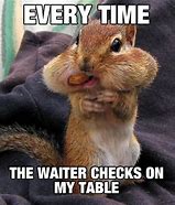 Image result for Squirrel Nuts Meme