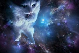 Image result for Black and White Cat in Space