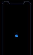 Image result for iPhone X Apple Icon